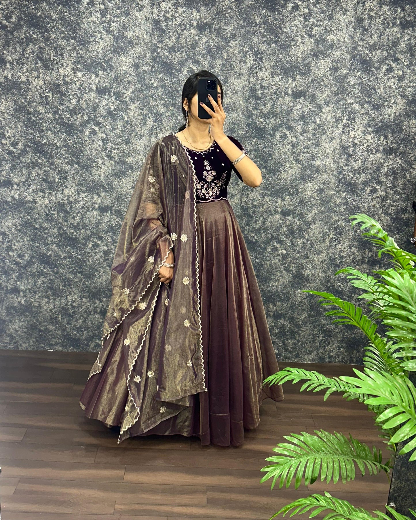 Royal  Velvet Gown With Tissue Net