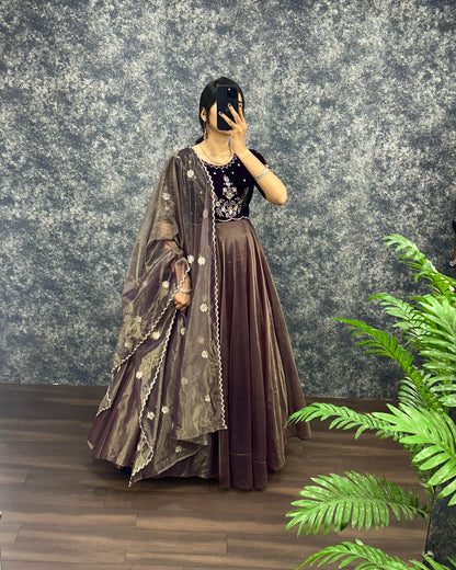 Royal  Velvet Gown With Tissue Net