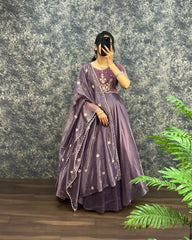 Royal  Velvet Gown With Tissue Net
