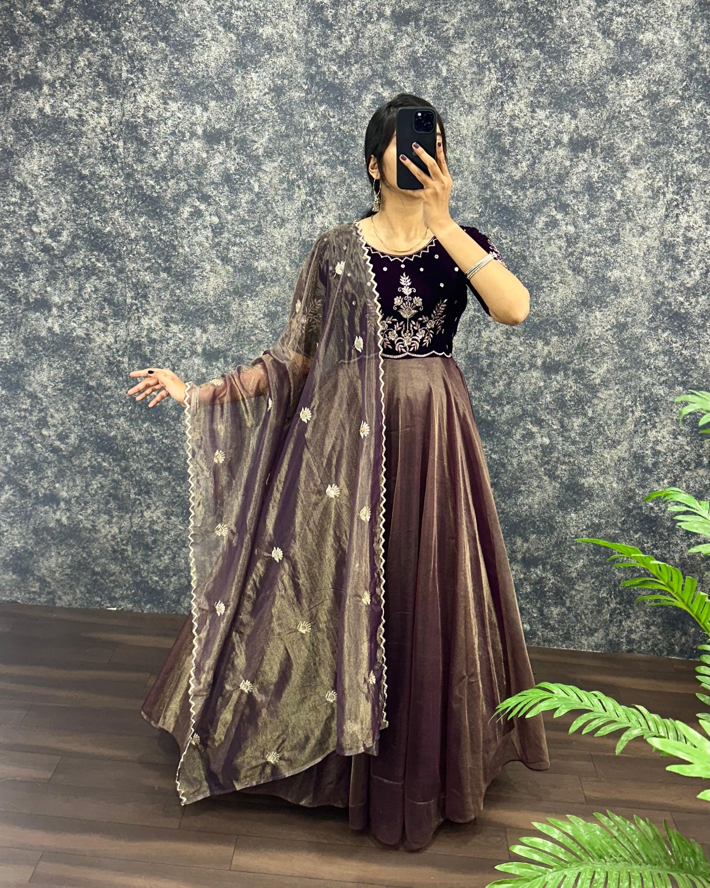 Royal  Velvet Gown With Tissue Net