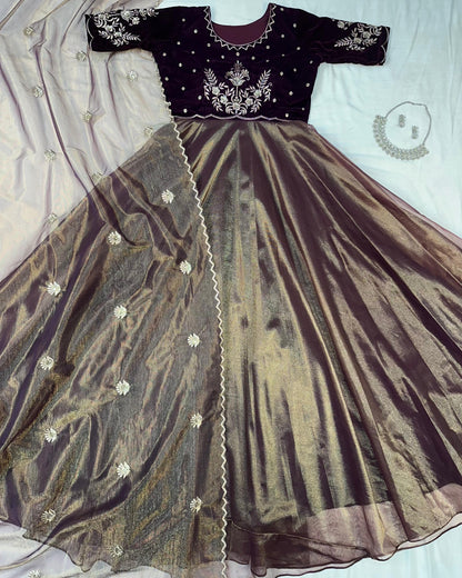 Royal  Velvet Gown With Tissue Net