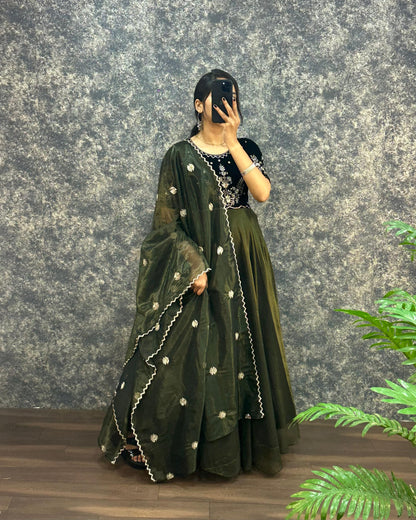 Royal  Velvet Gown With Tissue Net