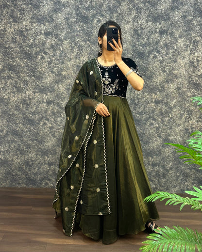 Royal  Velvet Gown With Tissue Net