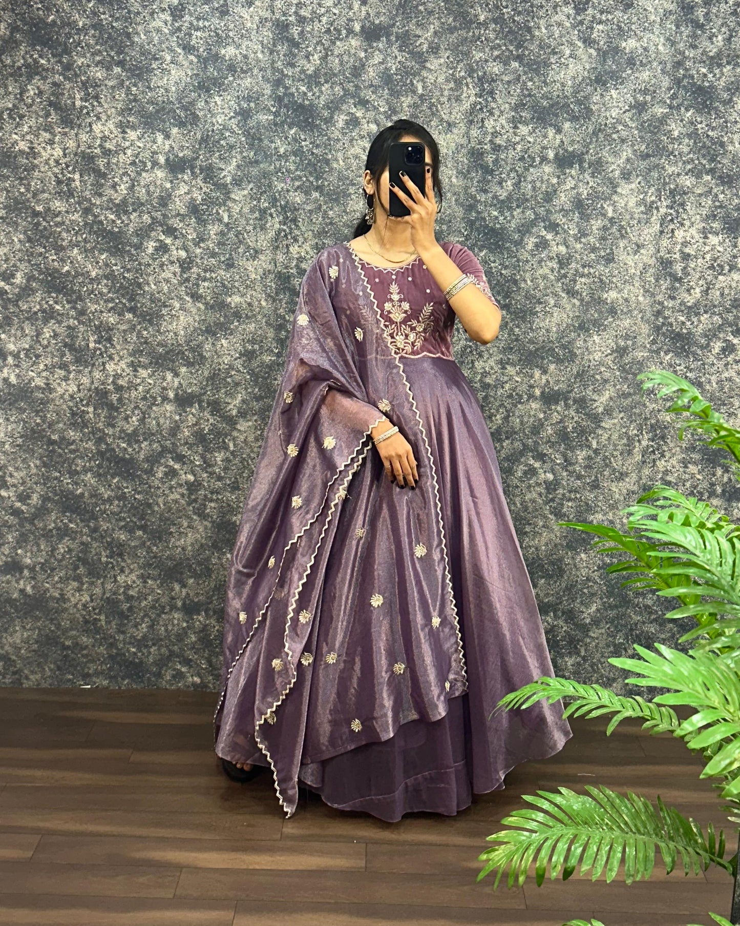 Royal  Velvet Gown With Tissue Net