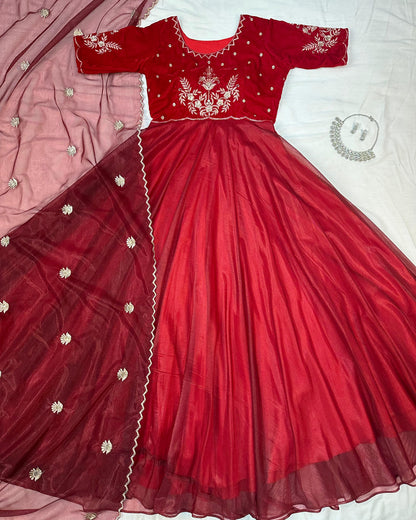 Royal  Velvet Gown With Tissue Net